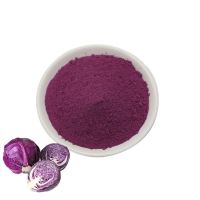 Supply 100% Natural Red Cabbage Powder High Quality Purple Cabbage Extract