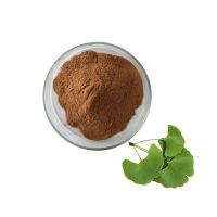 Organic Ginkgo Biloba Extract Powder 24% Flavonoids Ginko Biloba
