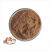 High Quality Shitake Extract Polysaccharide Powder Organic Shitake Mushroom Extract