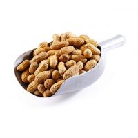 raw peanuts red for sale red blanched peanut groundnut Rich in protein Rich organic protein Kernel Raw Peanuts Kernel Peanut