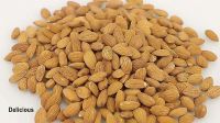 unshelled and roasted almonds seasoned bag box style rich nutrition delicious almond wholesale price