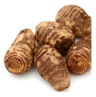 new crop of Chinese taro root factory supply fresh vegetables fresh and air Dried Taro frozen taro bulk price for sale