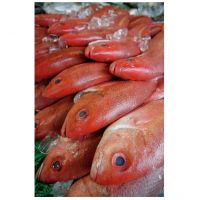 Best Selling Wholesale Fresh Frozen Red Snapper Emperor Fish