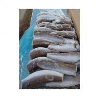 Wholesale High Quality Frozen Hake Fish HGT / Whole Fish Bulk Hake Frozen Fish