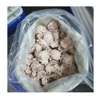 Premium Quality for Wholesale frozen whole octopus cleaned from Vietnam