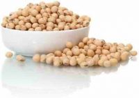 Bulk Supply Fresh Stock Quality Soya Beans Wholesale Manufacture Price