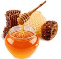 Bulk Supply Honey Manuka Honey Top Quality Natural Honey Organic