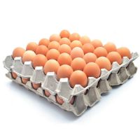 Fresh Chicken Table Eggs/Fresh Chicken Hatching EGGS At Good Prices