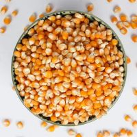 Natural Dry Corn Wholesale Price Bulk Supply Quality