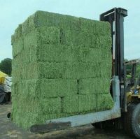 Bulk Supply Quality Animal Feed Alfalfa Hay Bale and Pellets Wholesale