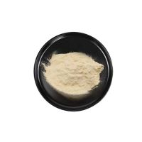 Manufacturer supply high quality Chitooligosaccharide Powder  CAS 148411-57-8