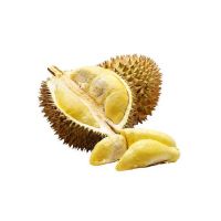 hot selling nutrition frozen durian price fresh durian fruits for sale fresh durian from quality tropical style