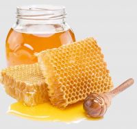 Top Quality Natural Honey Organic  Honey Manuka Honey