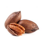 New Crop Good Quality Almond Walnut Pecan Pistachio Pecan Nuts Raw 100%Natural Pecan Nuts