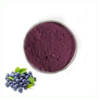 Price advantage pure natural Brazilian berry juice powder high quality acai fruit powder