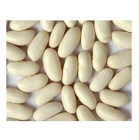 wholesale dried organic red beans dark red kidney beans