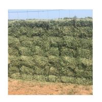 Premium Grade Alfalfa Hay for Animal Feeding Stuff Alfalfa / Alfalfa Hay farm price