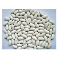 High Quality Organic Dried White Kidney Beans Available For Sale At Low Price