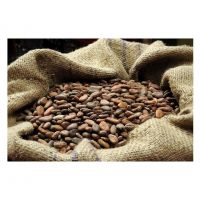 Cocoa Bean Price Per Kg High Quality Raw Cocoa Bean Ghana Organic Cacao Bean