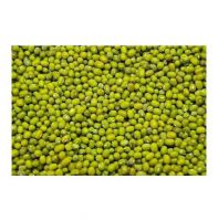 Best Price Green Mung Beans / Whole Moong Beans Bulk Stock Available With Customized Packing