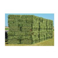 Premium Organic Alfalfa Hay/ Rhode Grass Hay / Timothy Hay Animal Feed for Sale