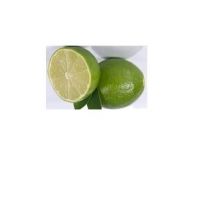 Citrus Fruit fresh green lime seedless and persian limes mandarin oranges yellow original sweet style packing
