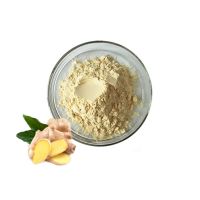 Wholesale Ginger Root Extract Gingerol Supplement Powder