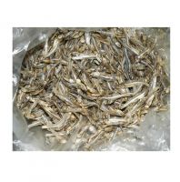 Best Factory Price of Natural Dried Seafood Anchovy Fish Small Size Anchovies Fish Available In Large Quantity