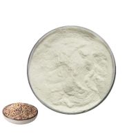 High Quality Wholesale Bulk Quinoa Extract Quinoa Protein Powder