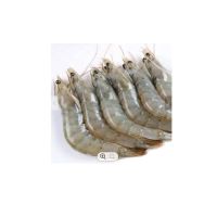 Wholesale custom private label food grade 10kg carton 15days prawn vanamei tiger shrimp PD frozen vannamei shrimp