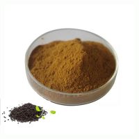 High Quality Nigella Sativa Extract Pure Natural Thymoquinone Nigella Sativa Seed Extract