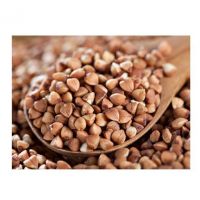 Wholesale With Best Price High Quality Buckwheat