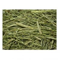 High Quality Natural Timothy Hay Available For Sale At Low Price