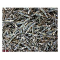 Top Quality Pure Dried Seafood Anchovy Fish Small Size Anchovies Fish For Sale At Cheapest Wholesale Price
