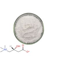 Manufacturer supply the best price healthcare supplement L-carnitine Powder CAS 541-15-1