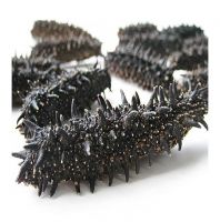 Good Quality Cheap Price Dried Sea Cucumber For Export
