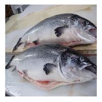 Good quality Norway Fresh Frozen Salmon Fillet Fish