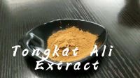 High quality Natural Male Health Raw Materials tongkat ali extract 200:1 Donggeali powder