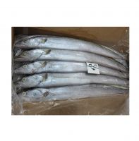 0.05% Max Moisture Fresh Frozen Whole Round Ribbon Fish With Natural Silver Color