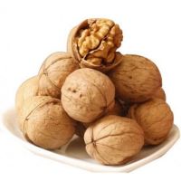 Best choice and best discounts high quality walnut kernel walnut