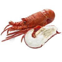 Top Quality affordable Crawfish lobster tails meat new season craw fish