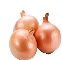 fresh red yellow onion style weight origin type red yellow 15kg bags 25tons shape product for food consumption fresh red onions