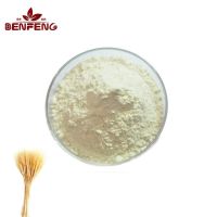 High Quality Natural Wheat Extract Food Grade Wheat Protein Powder
