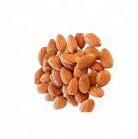 almond nut sweet bitter almond nut rich nutrition roasted big size gift bulk supply style storage almond nuts raw