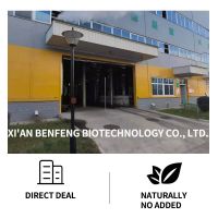 Factory Price Pineapple Extract Powder Bromelain Powder 2400 GDU/g