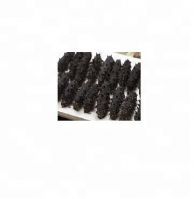 dried sea cucumber, price of dried sea cucumber, sea cucumber for sale best price high quality frozen sea food wild sea cucumber