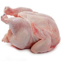 TOP QUALITY HALAL WHOLE FROZEN CHICKEN FOR SALE