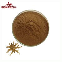 Supply Harpagophytum Procumbens Extract 1%-5% Harpagosides Devil's Claw Root Extract