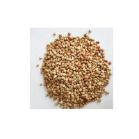 Wholesale custom private label food grade 50kg bags 25tons 15days buckwheat price max white roasted buckwheat
