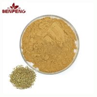 Bulk Fennel Crithmum Maritimum Extract Pure Natural 10:1 Fennel Seed Extract Powder